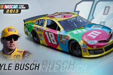 Kyle Busch (31 Photo)