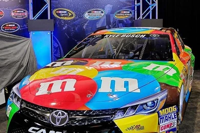 Photos Of Kyle Busch's 2015 Car
