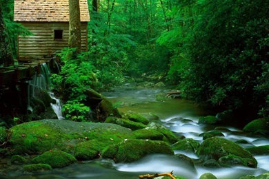 Amazing HD Wallpapers Desktop Nature