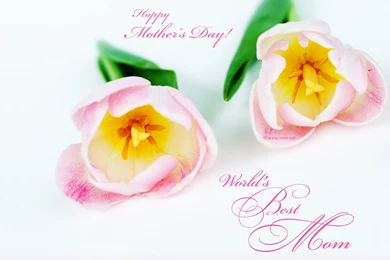 Mother Day Wallpapers Download To Say Happy Mothers Day