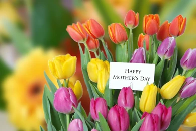 Mothers Day Flowers Backgrounds   Free Large Images