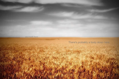 These Are So Inspirational   Album On Imgur