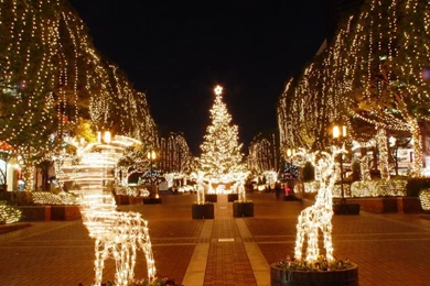 Christmas Wallpapers 1280x800 Wallpapers, 1280x800 Wallpapers ...