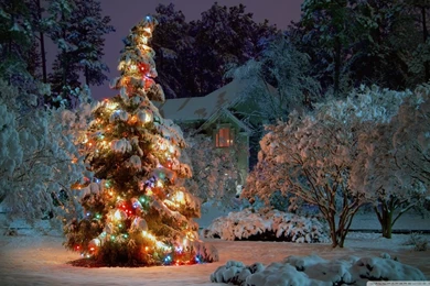 Christmas At Night HD Desktop Wallpapers : High Definition ...