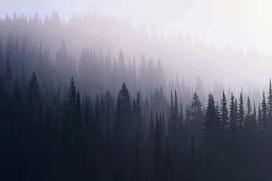 Hd Hipster Desktop Wallpapers 6