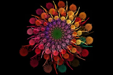 Psychedelic Wallpapers