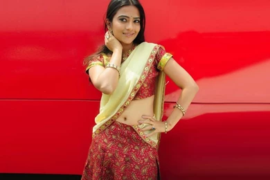 Aditi Sharma In Indian Saree Wallpapers