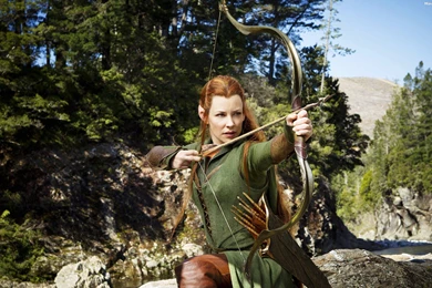 The Hobbit(The Desolation Of Smaug) HD Wallpapers