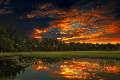 Fiery Decline Wallpapers And Images   Wallpapers, Pictures, Photos