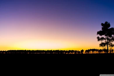 Download The Last Ray Of Light Sundown Wallpapers 1920x1080 ...