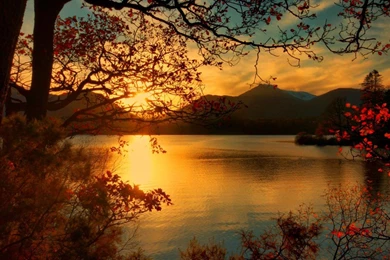 Autumn Sunset   (