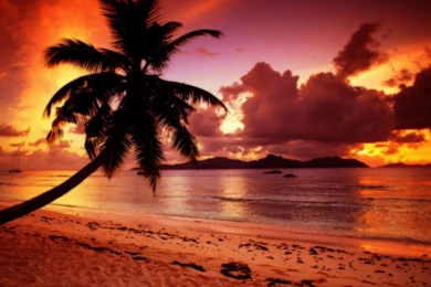Sundown In Paradise >> HD Wallpaper, Get It Now!