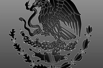 Mexicanflag   DeviantArt