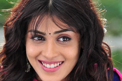 Genelia Tamil Wallpaper, Genelia Desktop Picture, Genelia Posters ...