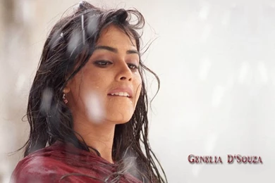 Genelia D Souza Wallpapers (1024x768) : Indya101.com