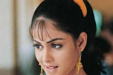 Wallpapers Marathi Nature Beautifull Genelia D Souza 800x600 ...