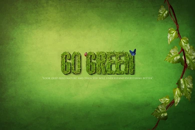 Going Green For A Better Tomorrow – How Do We Achieve A ...