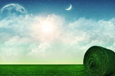 Wallpapers Go Green Field X 1920x1080