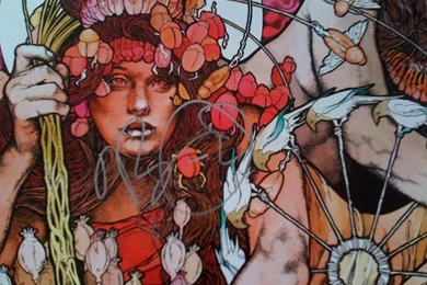 Neurosis138's Collection   Dead Format