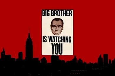 Big Brother Is Watching You. – The Worlds Biggest Fridge Magnet