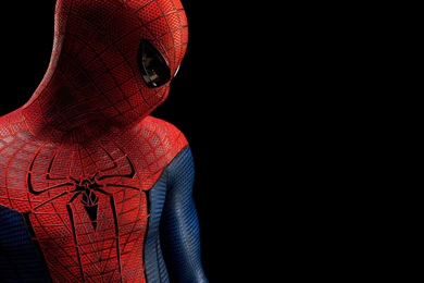 The Amazing Spider Man Wallpapers