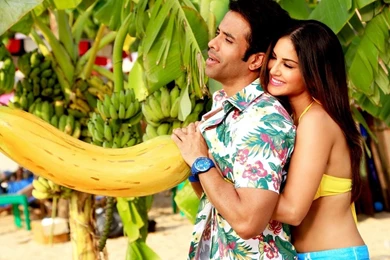 Mastizaade Bollywood Movie HD Wallpapers   Desktop Wallpapers