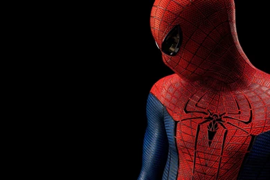 Spider Man From The Amazing Spider Man Wallpapers 29444