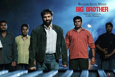 Big Brother Hindi Movie Wallpaper, Big Brother Poster, 1024x768 ...
