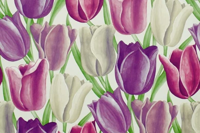 Vintage Wallpapers Australia