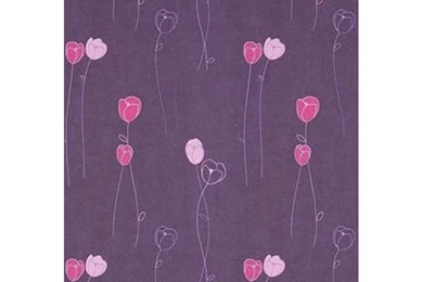 Mini 207149 800x800.JPG