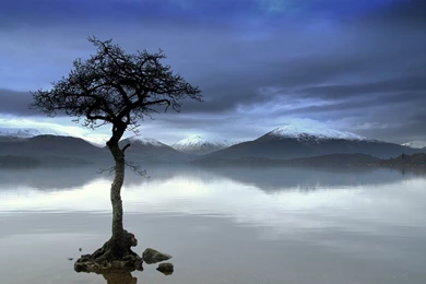 Screen Wallpaper Images Best   Fullwidehd.com