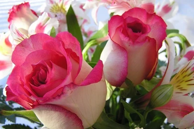 Widescreen HD Wallpapers