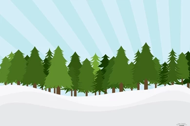 Pinetree Forest   Free Vector Download