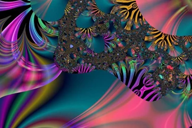 Hippie Abstract   (