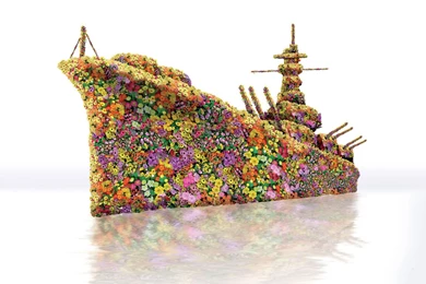 Hippie Wallpapers   Bing Images