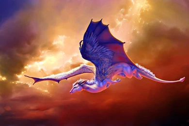 Movie White Horse Dragon Fantasy Picture Dragon Wallpapers By ...