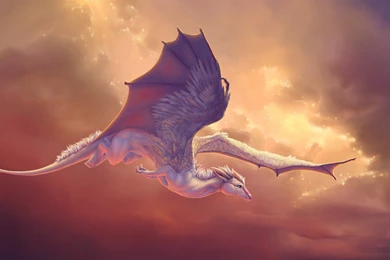 Cute Baby Dragon Flying Wallpapers   Fantasy Wallpapers