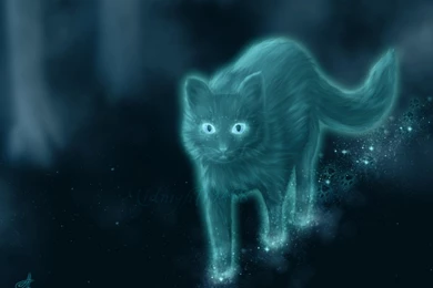 Warrior Cats   Scourge By Midnight19488 On DeviantArt