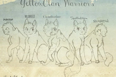 Warrior Cat Clans   Bing Images