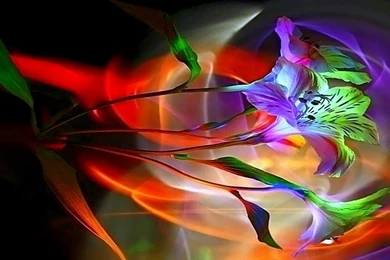 Download Hd Mobile Wallpapers HD Wallpapers Pretty