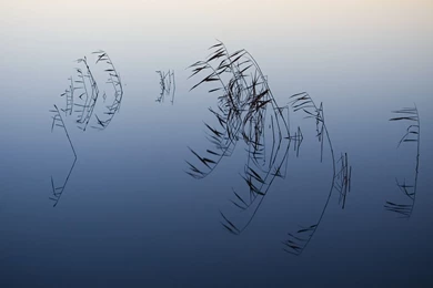 Mac Wallpapers Snow Leopard   Wallpapers Cave