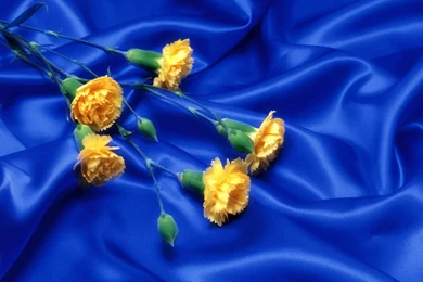 Romantic Heart Wallpapers Romantic Love Wallpapers 1 Best Romantic ...