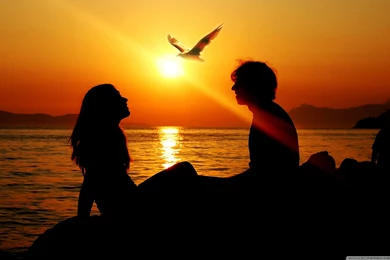 Romantic Love 1 7 S 307×512 Best Romantic Wallpapers For Mobile ...