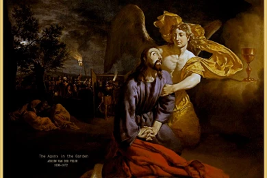 The Hunt For Lenten Desktop Wallpapers   Catholic Answers Forums