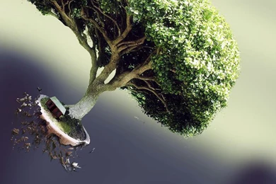 Floating Bonsai Mobile Wallpapers 2349