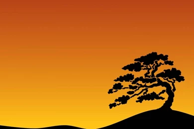Bonsai Wallpapers 18 – HD Wallpaper, Wallpapers Pics   The Best ...