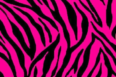Pink Zebra Print Wallpapers   Widescreen HD Wallpapers