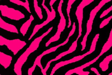 Puppies And Kittens Wallpapers Picture Daily Update