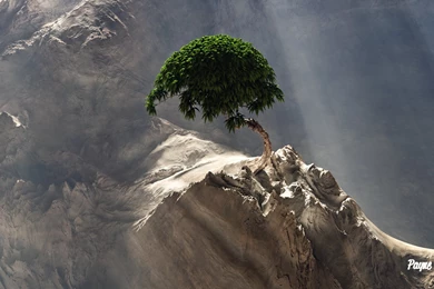 Little Bonsai Mountain Wallpapers By Chococruise