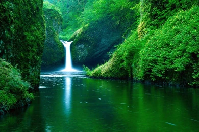 Wallpaper: Windows 7 Nature Wallpapers